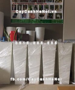 Chậu composite iPot cây cảnh vuông vát đáy ( IP-00071 ) 1 Chậu composite iPot cây cảnh vuông vát đáy ( IP-00071 )