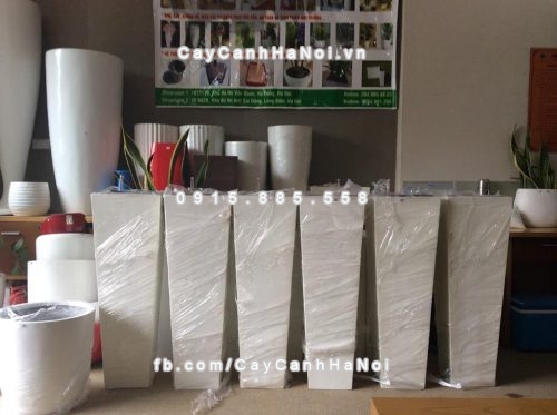 Chậu composite iPot cây cảnh vuông vát đáy ( IP-00071 ) 2 Chậu composite iPot cây cảnh vuông vát đáy ( IP-00071 )