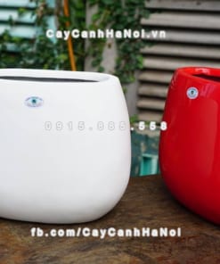 Chậu composite iPot hình oval trồng cây cảnh ( IP-00057)