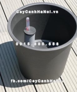 Chậu composite iPot thông minh tự tưới ( HTTT-01 )