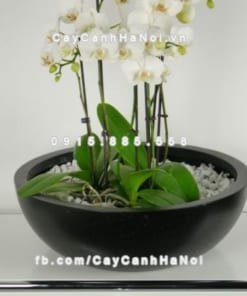 Chậu composite iPot tròn sang trọng ( IP-00006)