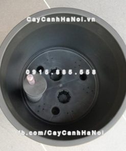 Chậu composite iPot tròn tự tưới ( HTTT-02 )