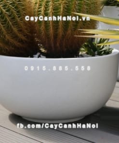 Chậu composite iPot trồng cây cao cấp ( IP-00039)