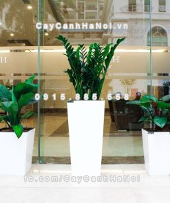 Chậu composite iPot trồng cây cao cấp ( IP-00164 )