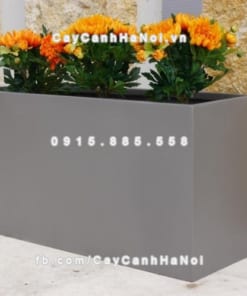 Chậu composite iPot trồng cây chữ nhật ( IP-00081)