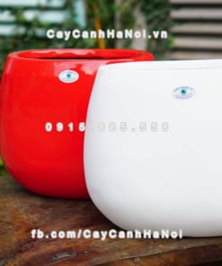 Chậu composite iPot trồng cây hình oval ( IP-00056)