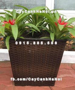 Chậu composite iPot vuông sợi đan tự tưới ( HTTT-07 )