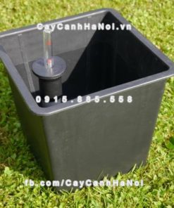 Chậu composite iPot vuông thông minh ( HTTT-05 )