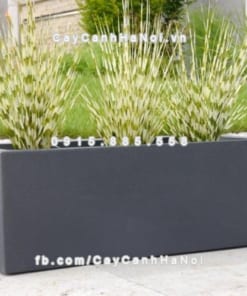 Chậu hoa composite iPot hình chữ nhật ( IP-00079)