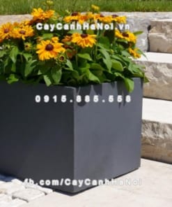 Chậu hoa composite iPot hình vuông ( IP-00068)