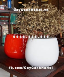 Chậu hoa composite iPot oval sang trọng ( IP-00054)