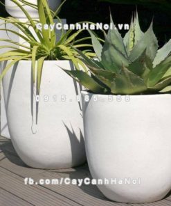 Chậu hoa composite iPot sang trọng ( IP-00011 )