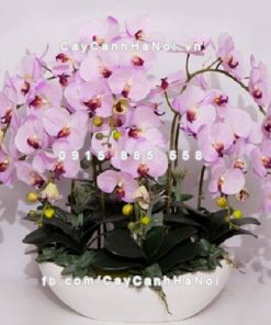 Chậu hoa composite iPot tròn ( IP-00007) 1 Chậu hoa composite iPot tròn ( IP-00007)