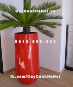 Chậu nhựa composite iPot cao tròn ( IP-00036) 1 Chậu nhựa composite iPot cao tròn ( IP-00036)
