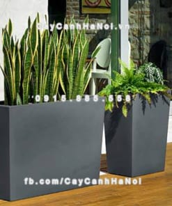 Chậu nhựa composite iPot cây cảnh ( IP-00155)