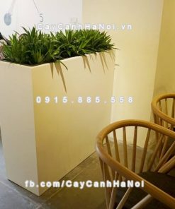 Chậu nhựa composite iPot chữ nhật ( IP-00156) 1 Chậu nhựa composite iPot chữ nhật ( IP-00156)