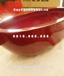 Chậu nhựa composite iPot oval ( IP-00065)
