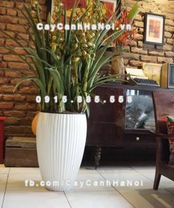 Chậu nhựa composite iPot sang trọng ( IP-00107) 1 Chậu nhựa composite iPot sang trọng ( IP-00107)