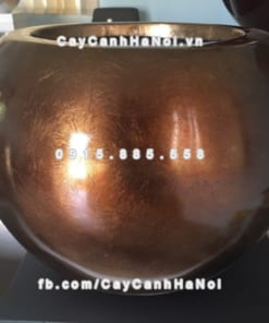 Chậu nhựa composite iPot trồng cây ( IP-00044) 2 Chậu nhựa composite iPot trồng cây ( IP-00044)