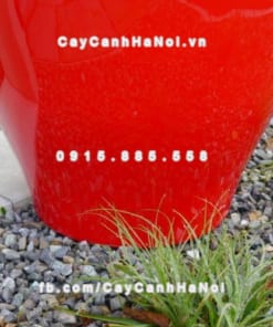 Chậu nhựa composite iPot trồng cây ( IP-00048)