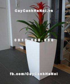 Chậu nhựa trồng cây composite iPot cao cấp ( IP-00179)