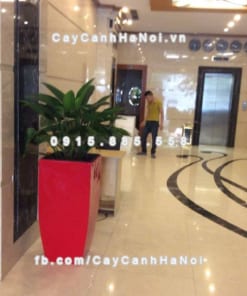 Chậu nhựa trồng cây composite iPot cao cấp ( IP-00179)