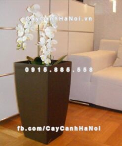 Chậu nhựa trồng cây composite iPot cao cấp ( IP-00179)