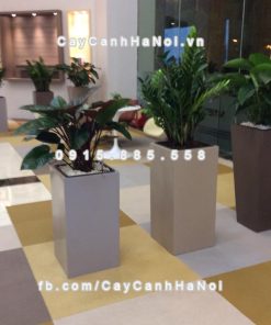 Chậu nhựa trồng cây composite iPot sang trọng ( IP-00020 ) 1 Chậu nhựa trồng cây composite iPot sang trọng ( IP-00020 )