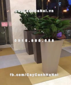 Chậu nhựa trồng cây composite iPot sang trọng ( IP-00073 )