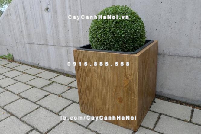 Chậu nhựa trồng cây composite iPot vuông ( IP-00088 )