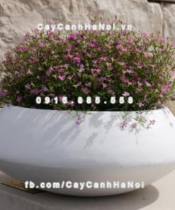 Chậu nhựa trồng hoa composite iPot ( IP-00061)
