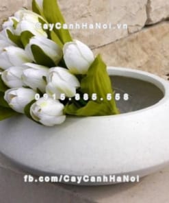 Chậu nhựa trồng hoa composite iPot ( IP-00061)