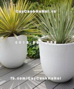 Chậu trồng cây composite iPot cao cấp ( IP-00012 )