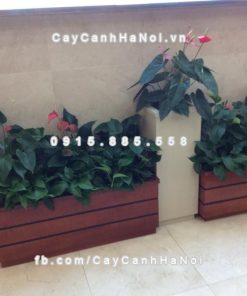 Chậu trồng cây composite iPot sang trọng ( IP-00019 ) 1 Chậu trồng cây composite iPot sang trọng ( IP-00019 )