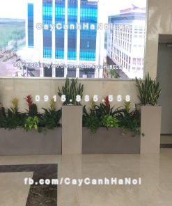 Chậu trồng cây composite iPot vuông cao ( IP-00016 )