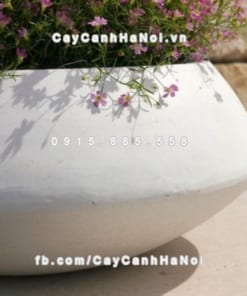 Chậu trồng hoa composite iPot tròn ( IP-00062) 2 Chậu trồng hoa composite iPot tròn ( IP-00062)