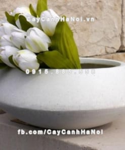 Chậu trồng hoa composite iPot tròn ( IP-00062) 1 Chậu trồng hoa composite iPot tròn ( IP-00062)