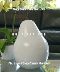 Composite iPot hình trái lê ( IP-00174)