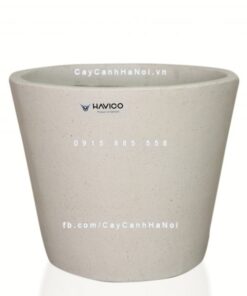 Chậu đá mài Pack Havico tròn trồng cây cảnh| CM-258
