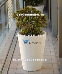 Chậu đá mài Pack Havico tròn trồng cây cảnh| CM-258