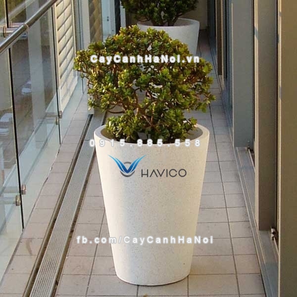 Chậu đá mài Pack Havico tròn trồng cây cảnh| CM-258