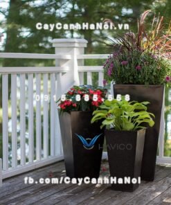 Chậu composite Havico Zing vuông vát đáy đẹp| CB-313