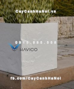 Chậu cây cảnh composite Havico Cubo| C-37 1 Chậu cây cảnh composite Havico Cubo| C-37