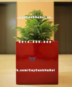 Chậu cây cảnh composite Havico Cubo| C-37 3 Chậu cây cảnh composite Havico Cubo| C-37