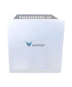 Chậu cây cảnh composite Havico Cubo| C-37 2 Chậu cây cảnh composite Havico Cubo| C-37