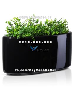 Chậu trồng cây composite Havico Viber| CB-326