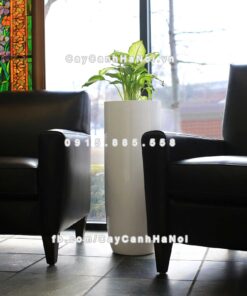 Chậu nhựa trồng cây composite Havico Zaiba| CB-343