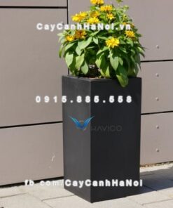 Chậu cây composite Havico Lazy vuông cao| CB-335