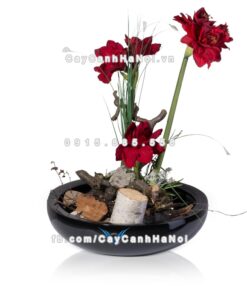 Chậu trồng cây composite Havico Tapi đẹp| C-313 1 Chậu trồng cây composite Havico Tapi đẹp| C-313