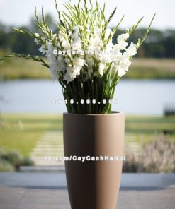 Chậu cây composite Havico Tory tròn sang trọng| CB-318